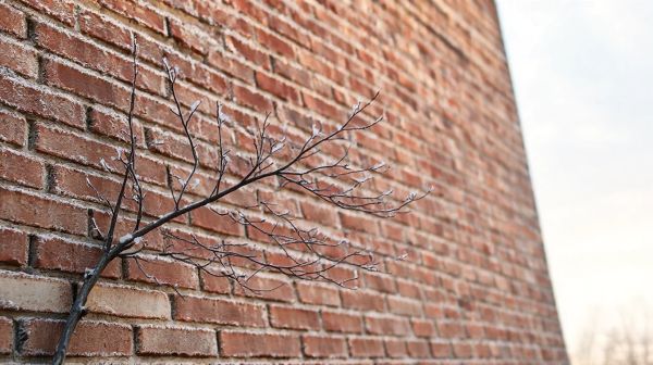 7 stratégies pour une isolation thermique extérieure performante